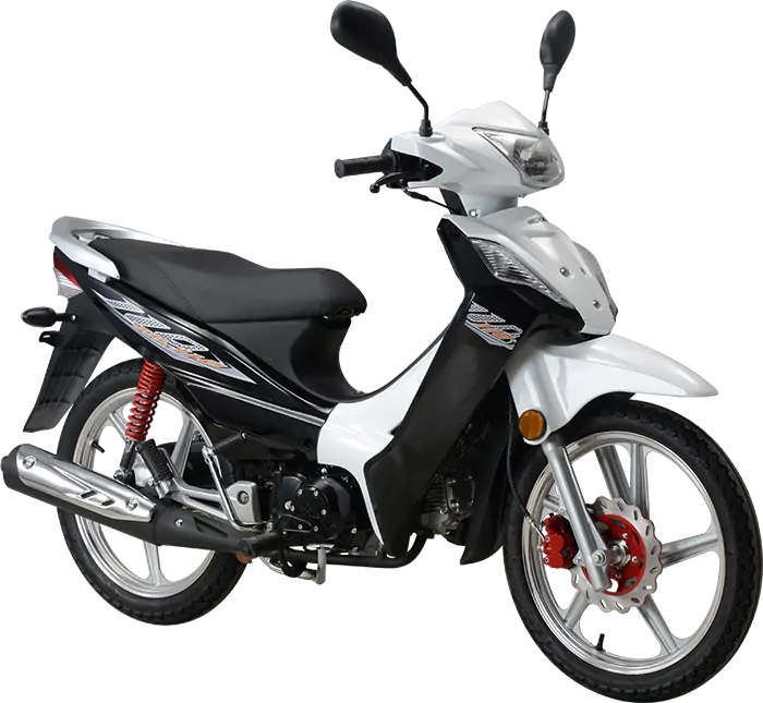 Dayang DY110-12N motorcycle